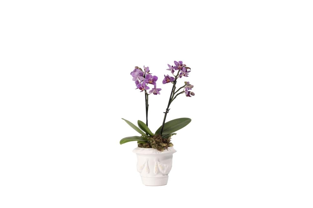 Vaso Mini Guirlanda 11,5 X 13,5