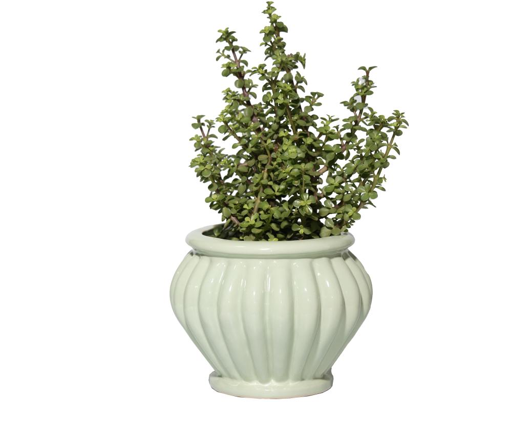 Cachepot Wanda 22x28