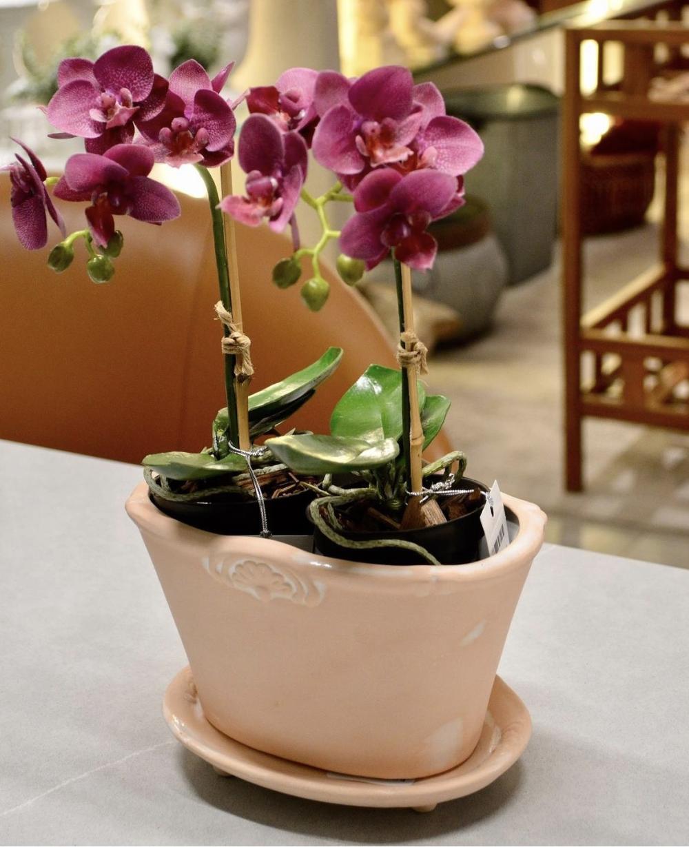 Cachepot Flor de Lis P Com Prato 14x19