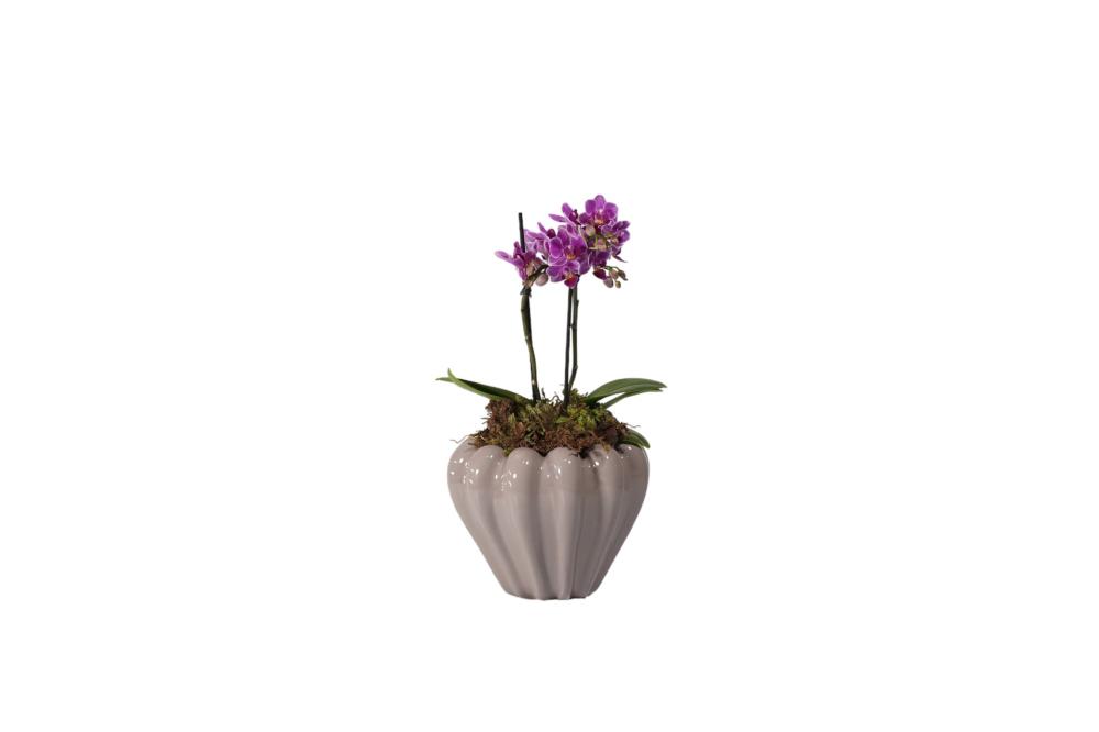Cachepot Diamante G 14x18 