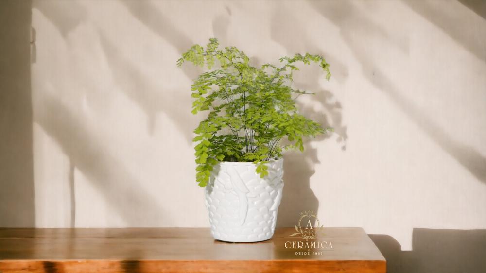 Vaso Arara 20x20