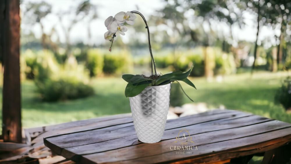 Vaso Bico de Jaca 36x26