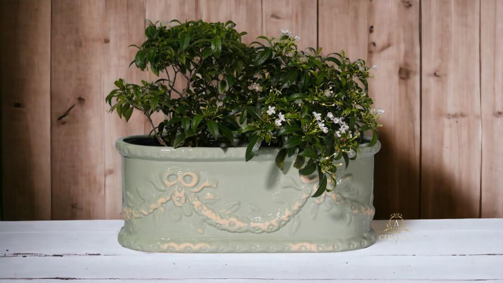 Jardineira Eloisa 23x56