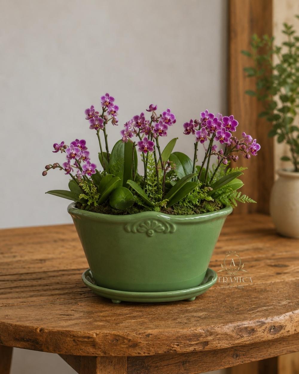 Cachepot Flor de Lis P Com Prato 14x19
